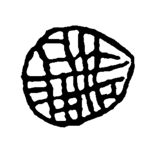 SABATA-MPHO MOKAE 20