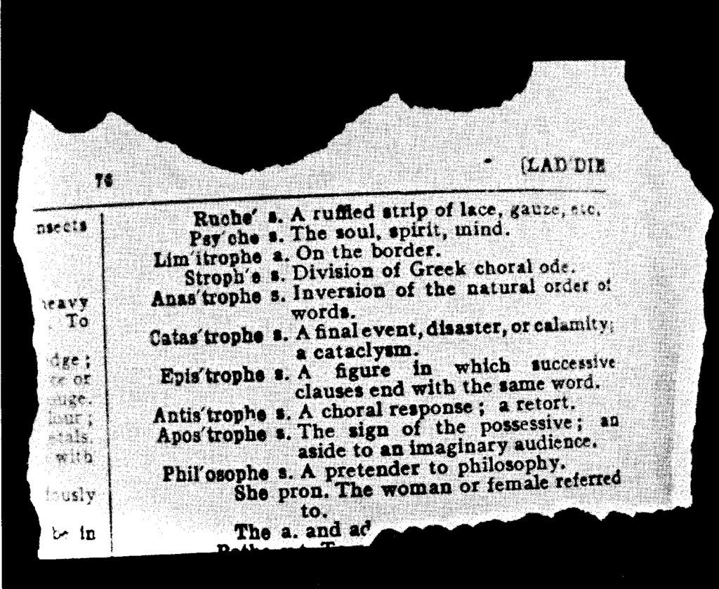 STEPHANUS MULLER & MANFRED ZYLLA & 22