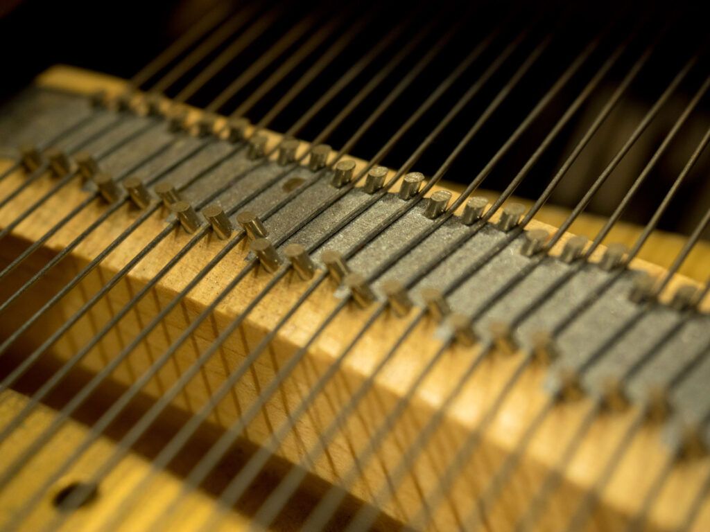 DANIEL-BEN PIENAAR & STEPHANUS MULLER