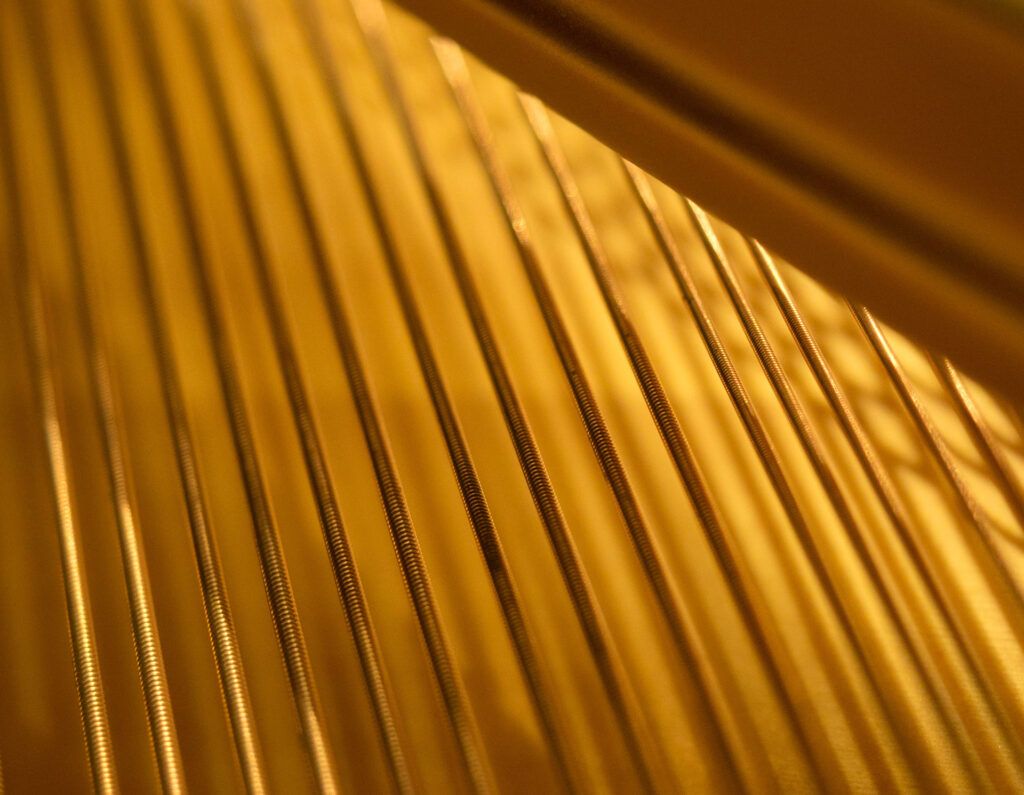 DANIEL-BEN PIENAAR & STEPHANUS MULLER 10