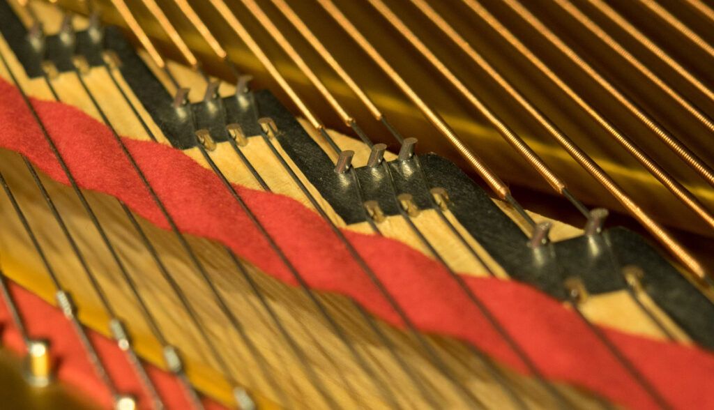 DANIEL-BEN PIENAAR & STEPHANUS MULLER 11