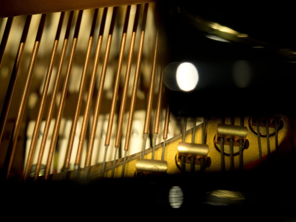 DANIEL-BEN PIENAAR & STEPHANUS MULLER 14