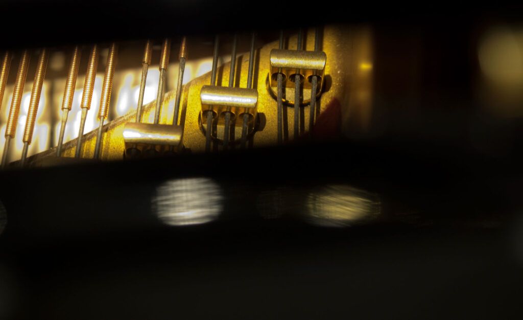 DANIEL-BEN PIENAAR & STEPHANUS MULLER 15