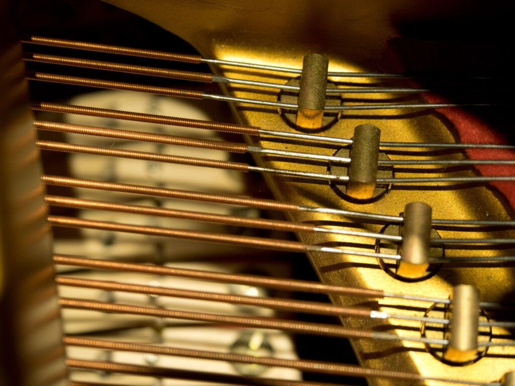 DANIEL-BEN PIENAAR & STEPHANUS MULLER 16