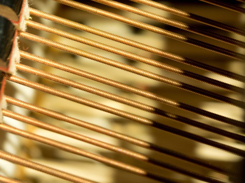 DANIEL-BEN PIENAAR & STEPHANUS MULLER 17