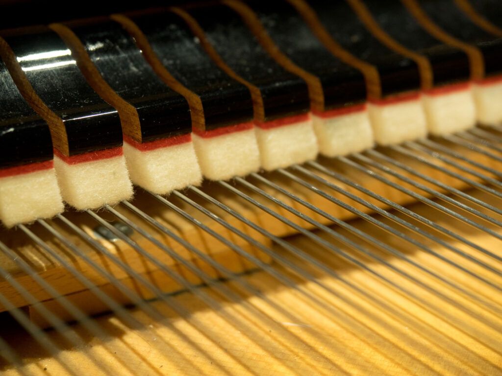 DANIEL-BEN PIENAAR & STEPHANUS MULLER 2