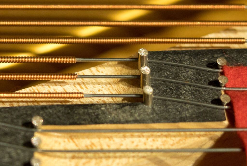 DANIEL-BEN PIENAAR & STEPHANUS MULLER 4