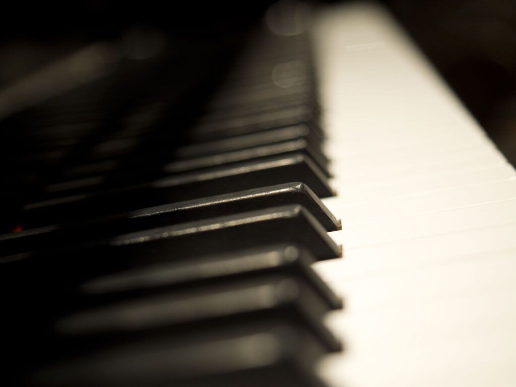 DANIEL-BEN PIENAAR & STEPHANUS MULLER 6