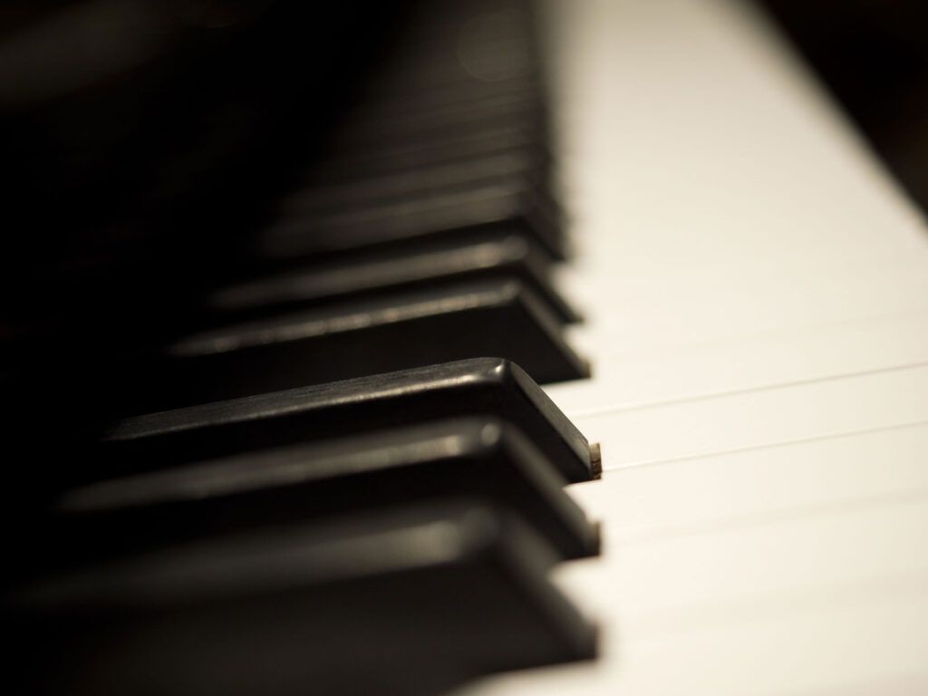 DANIEL-BEN PIENAAR & STEPHANUS MULLER 7