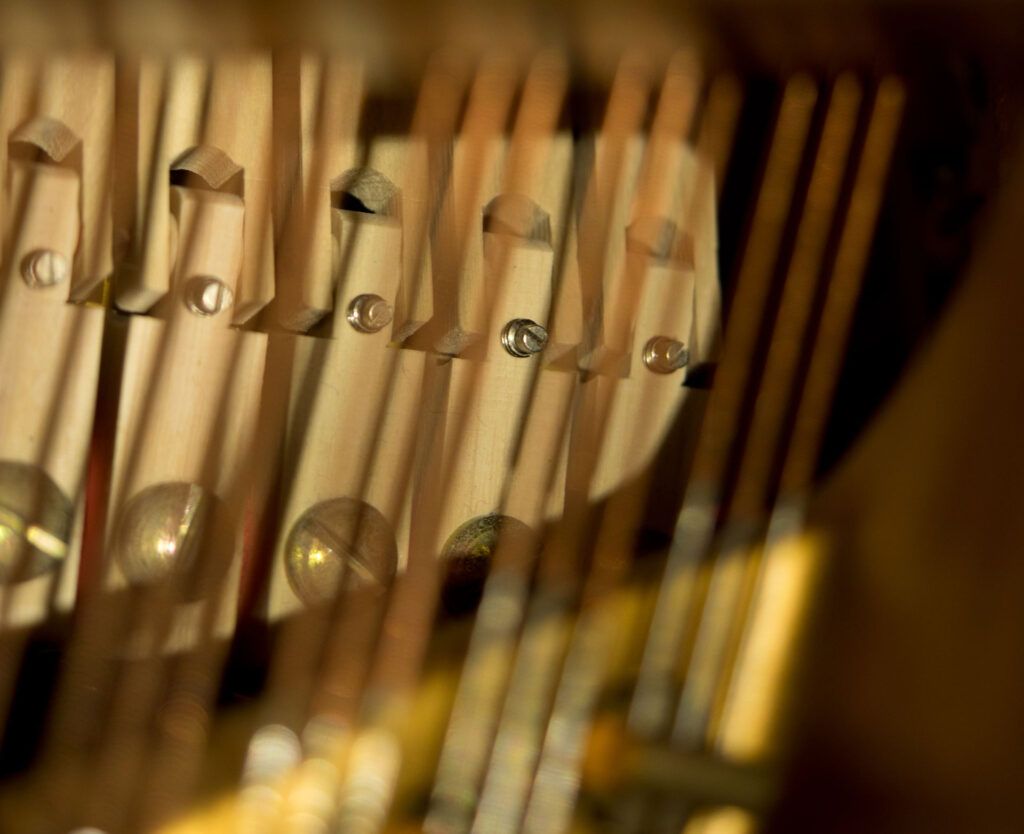 DANIEL-BEN PIENAAR & STEPHANUS MULLER 8