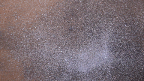 KERSTIN ERGENZINGER 4