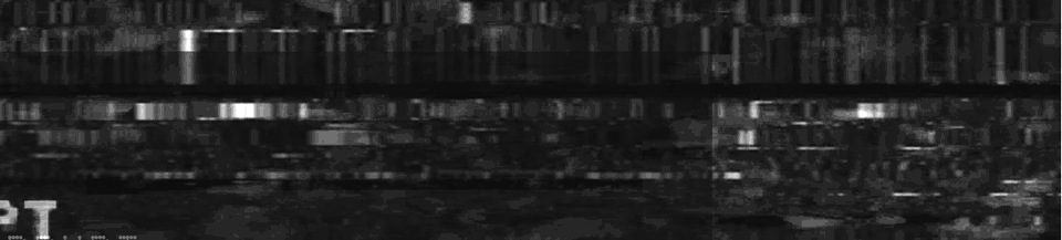 PALESA MOTSUMI & TARIRO MUDZAMIRI