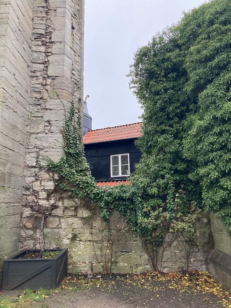 image11