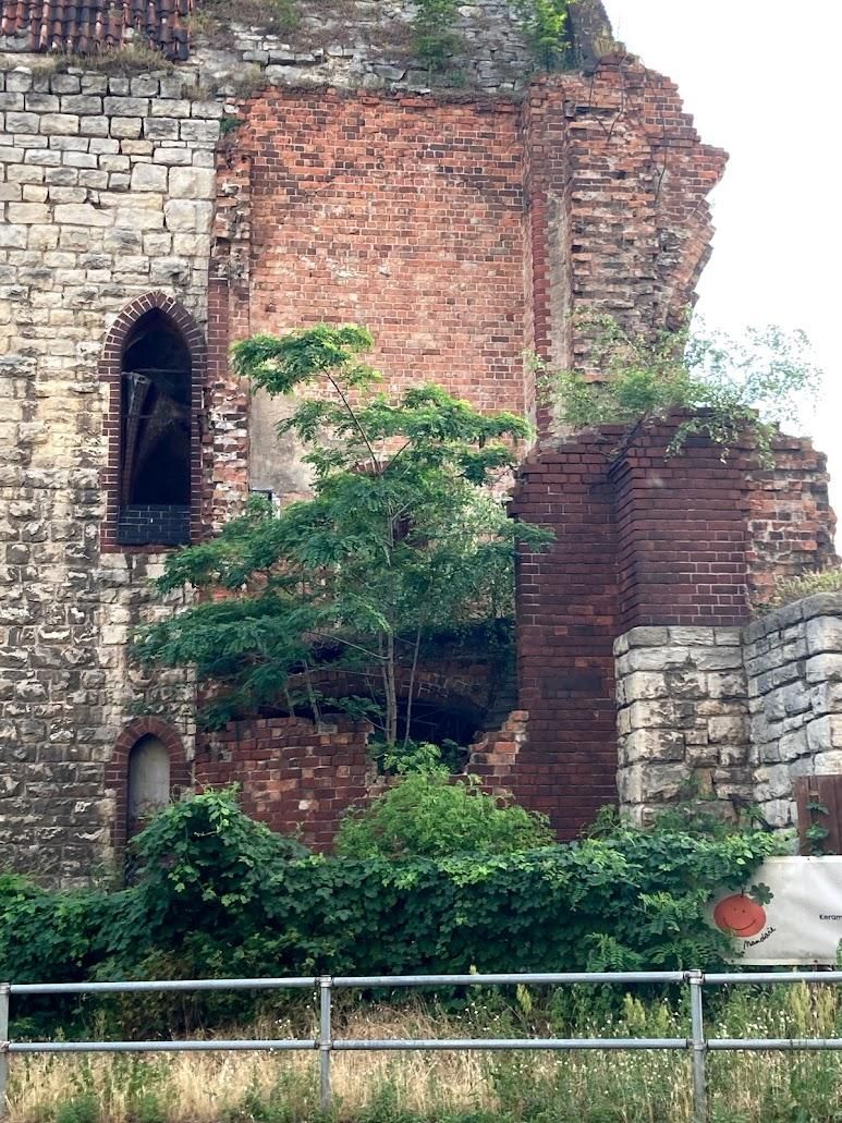 image7