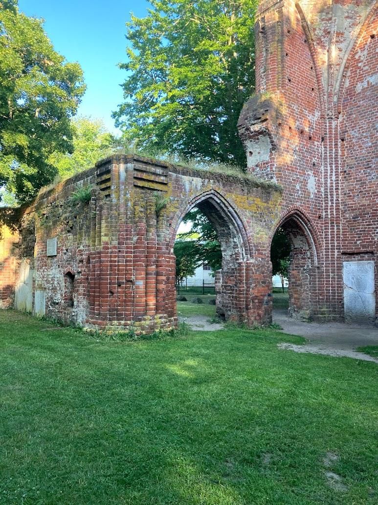 image8